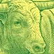 ICEBULL logo