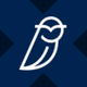 Blue Owl Capital xStock logo