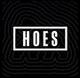 ApeChainHOES logo
