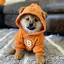 Token-Icon
