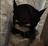 CATMAN