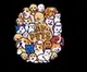 AIPETS logo