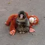 Ikona tokenu
