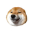 coinu