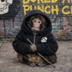 Bored Ape Punch Club logo