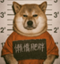 宠物监狱照 pet mugshot logo