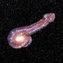 GALACDICK