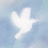 PEACEWORLD
