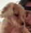 howie