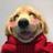 wuf