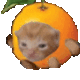 Robert logo