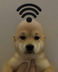 dogwifi logo