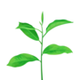 orgur logo