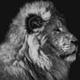 TheLionRapesTheSnake logo