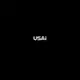 US Artificial Intelligay logo