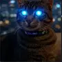 SUPERCAT