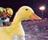 QUACK
