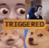 Triggered logo