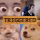 Triggered logo