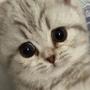 MILOU