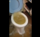 YOUTUBE BRAINROT logo