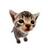 Elgatito