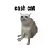 CASHCAT logo