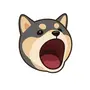 POPDOG