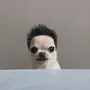 HAIR