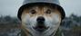 TRENCHDOG