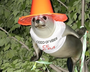 SEAL