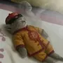 CHI