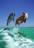 COWPHIN