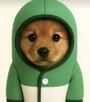 pup