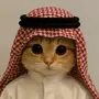 habibi