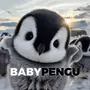 BabyPengu
