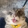 RIGBY