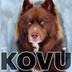KOVU logo