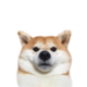 INU logo