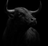 Bull