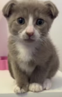 Billy
