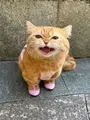 WUNK