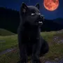 LUNAR