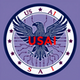 US Artificial Intelligence logo