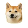 jindoin