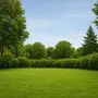 grasscoin