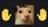 catjpg