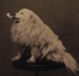 Sir.Doggington logo