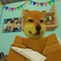 bonkie