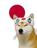 SHIBA